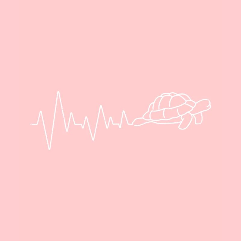 Turtle Heartbeat Slowness