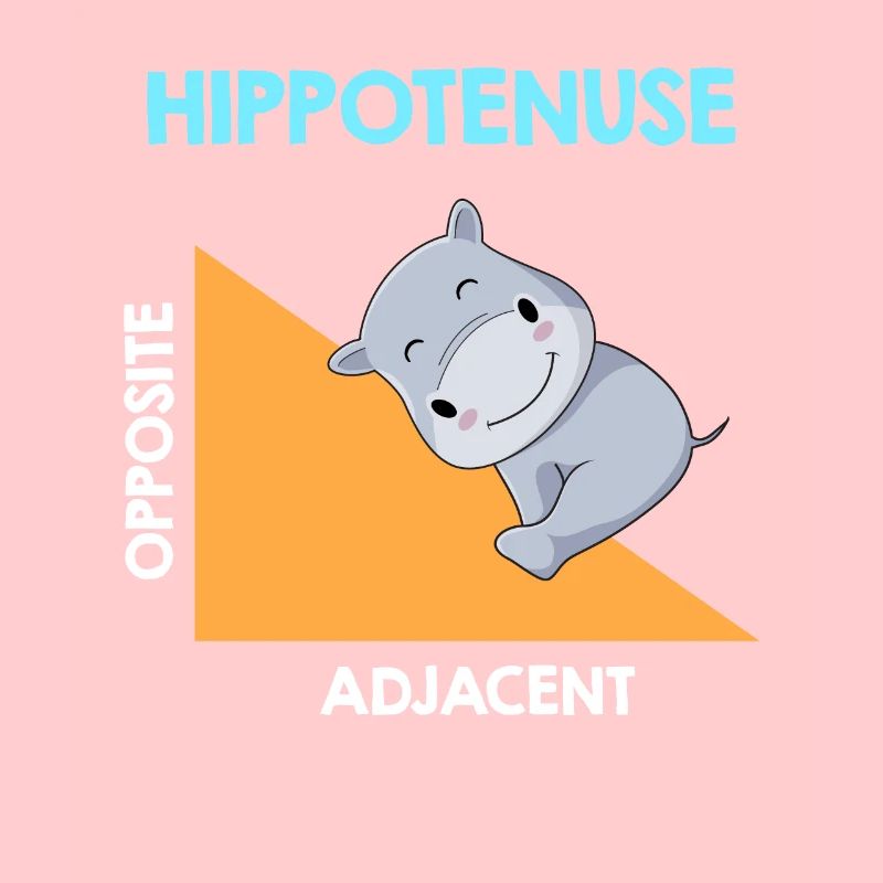 Hippotenuse Algebra Analysis