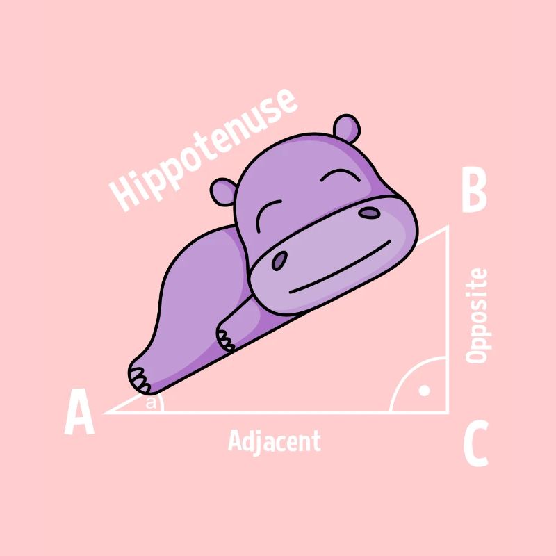 Math teacher Hipotenuse Math
