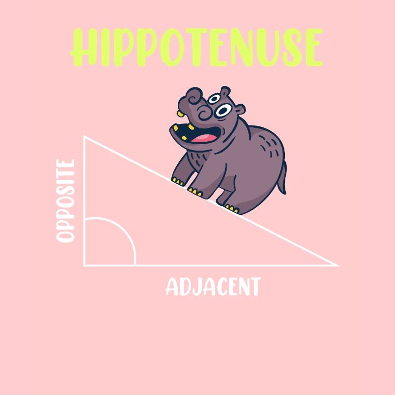 Hippotenuse Algebra Mathematik Student