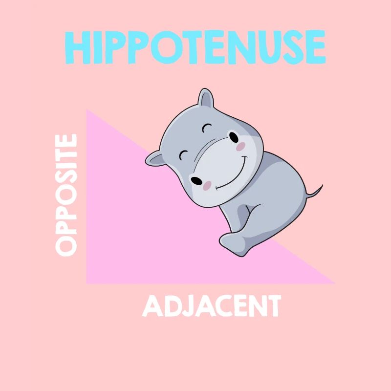 Hippotenuse Algebra Analysis