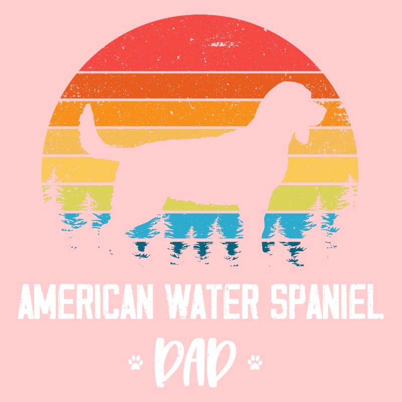 American Water Spaniel