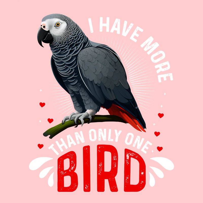Perroquet gris J’ai plus d’un oiseau