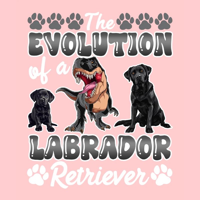 Hundebesitzer DIE EVOLUTION EINES LABRADOR