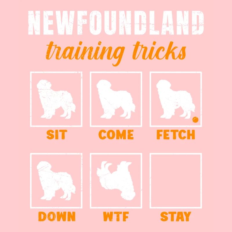 Newfie Besitzer NEWFOUNDLAND TRAINING TRICKS