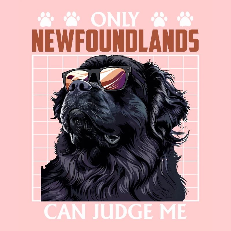 Neufundländer ONLY NEWFOUNDLANDS CAN JUDGE ME