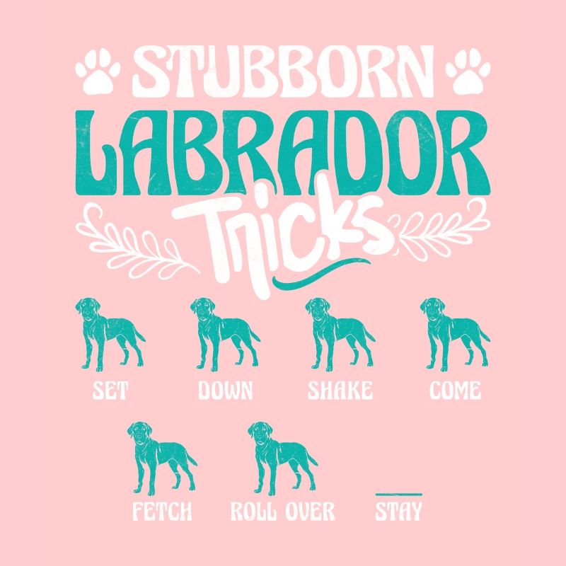 Propriétaire de Labrador ASTUCES DE LABRADOR TÊTU