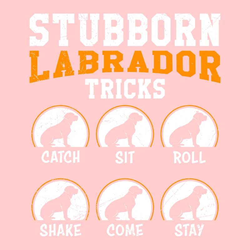 Propriétaire de Labrador ASTUCES DE LABRADOR TÊTU