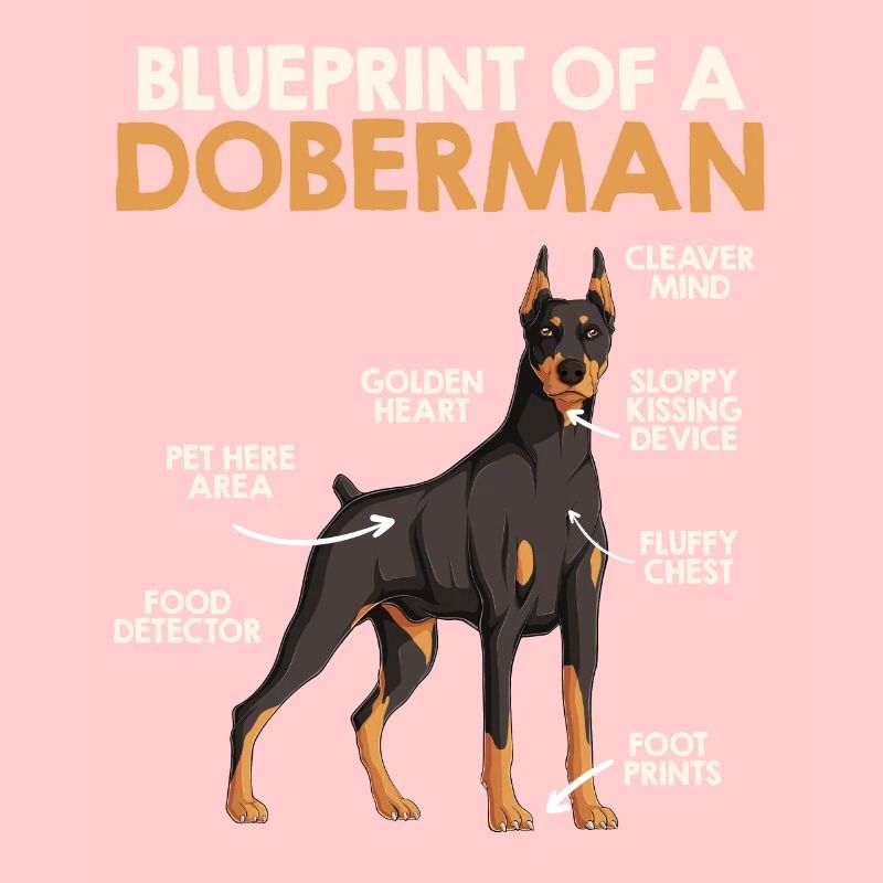Doberman Besitzer BAUPLAN EINES DOBERMANNS Lustig