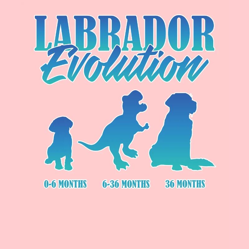 LABRADOR EVOLUTION Labrador Besitzer Lustiges
