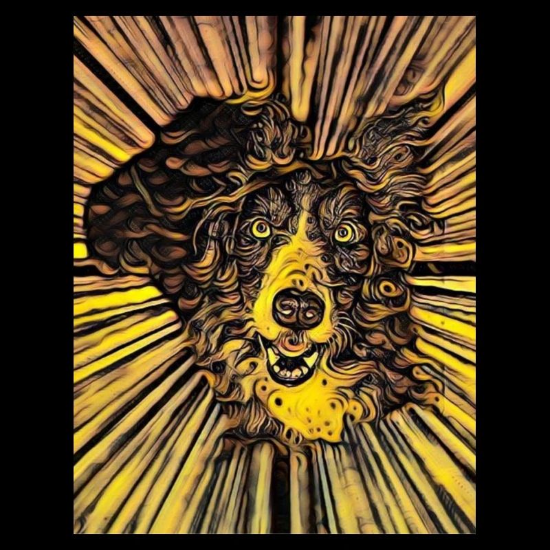 Border Collie Creativ Design