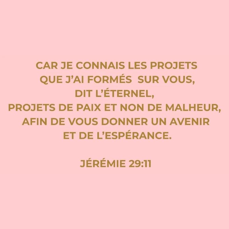 JÉRÉMIE 29 : 11 VERSET DE LA BIBLE - Version Or