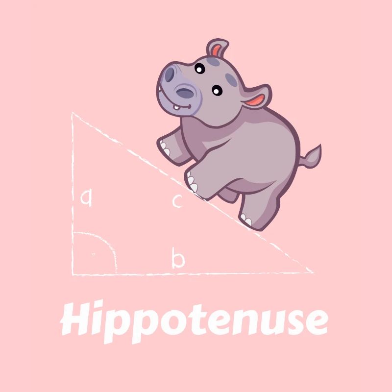 Hippotenuse Maths Geek