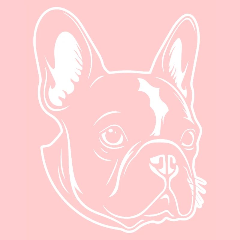 Bouledogue français Terrier de Boston