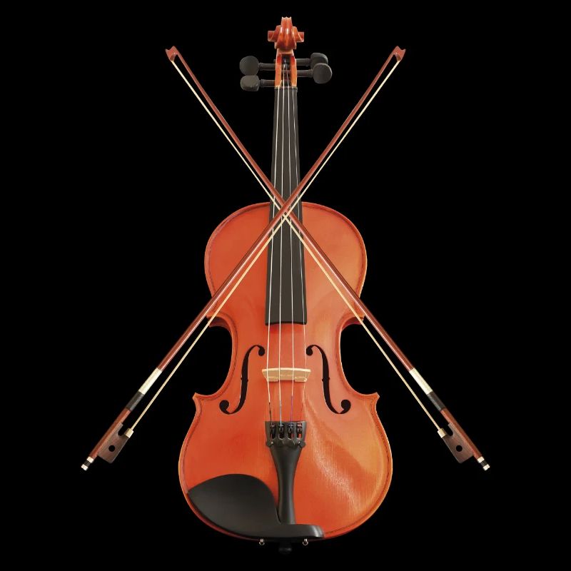 Violin with bows