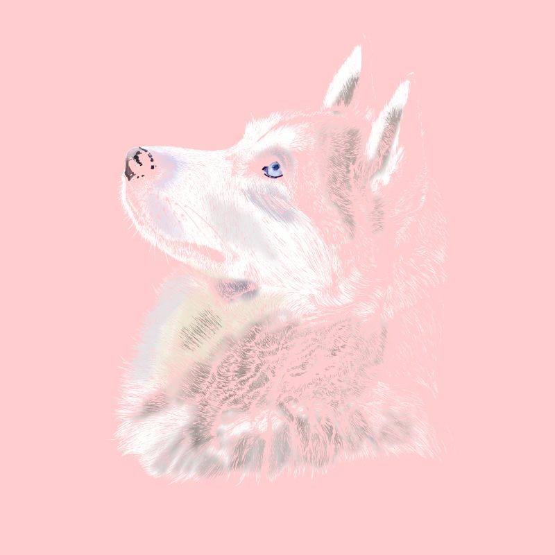husky