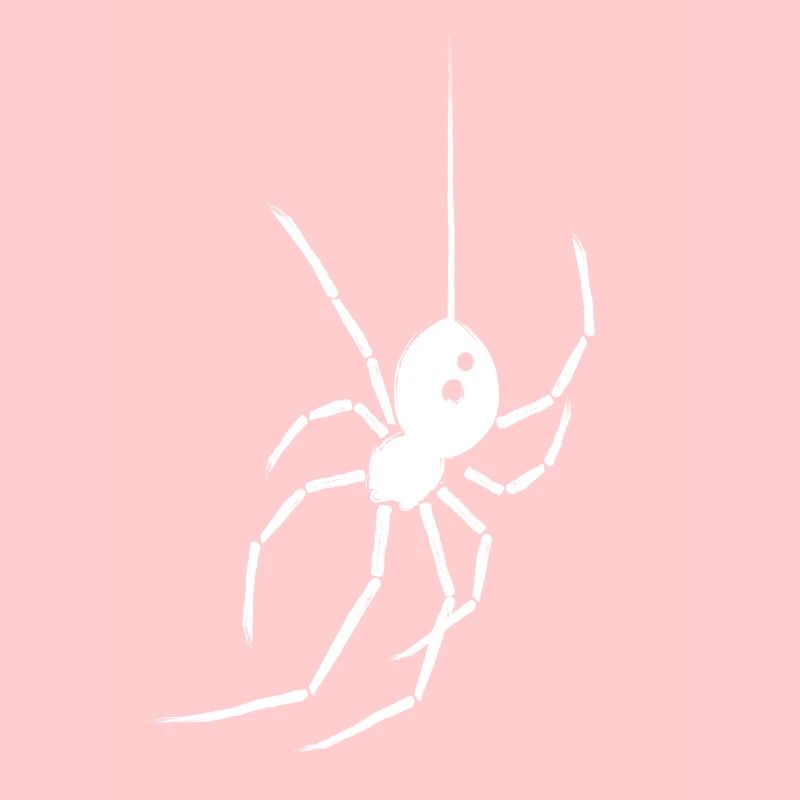 Spinne Schwarze Witwe