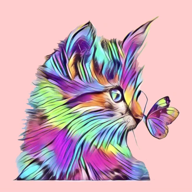 Arc-en-ciel papillon