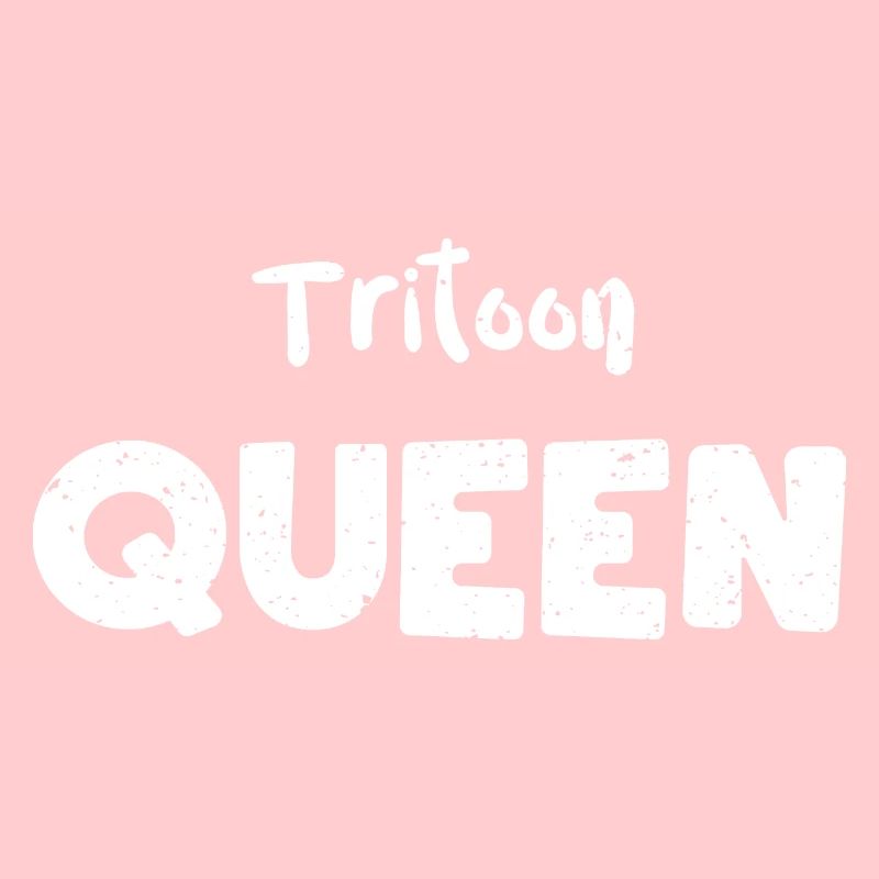 Tritoon Queen - Navigation de plaisance