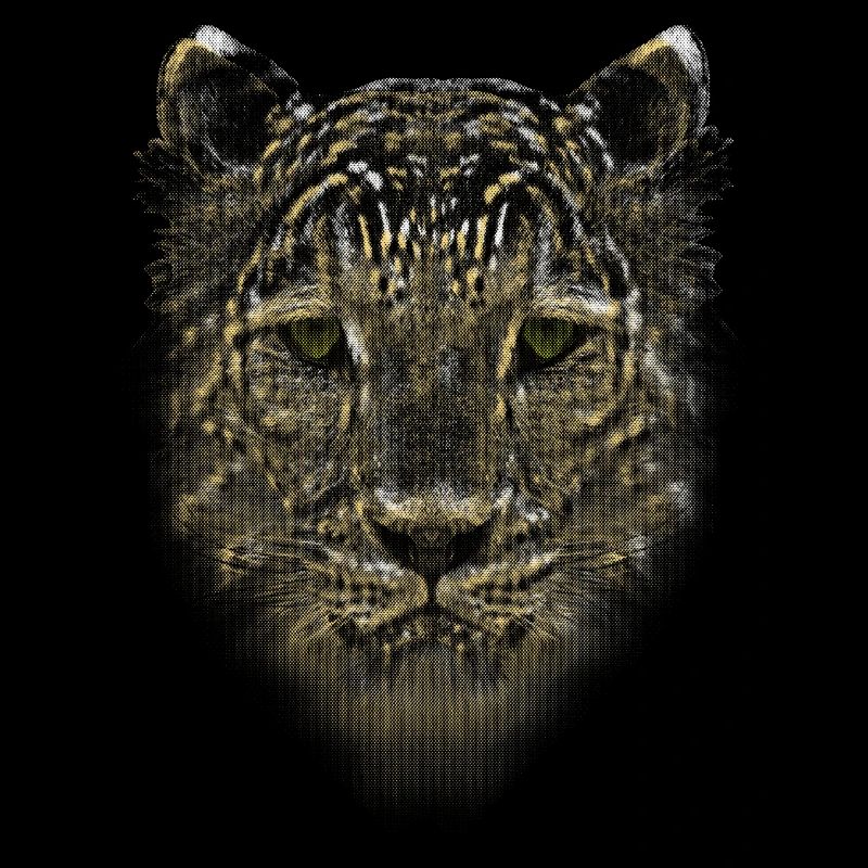 LEOPARD