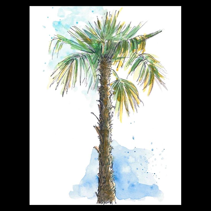 Mediterranean Palm Tree - Auarell Pen and Ink Drawing