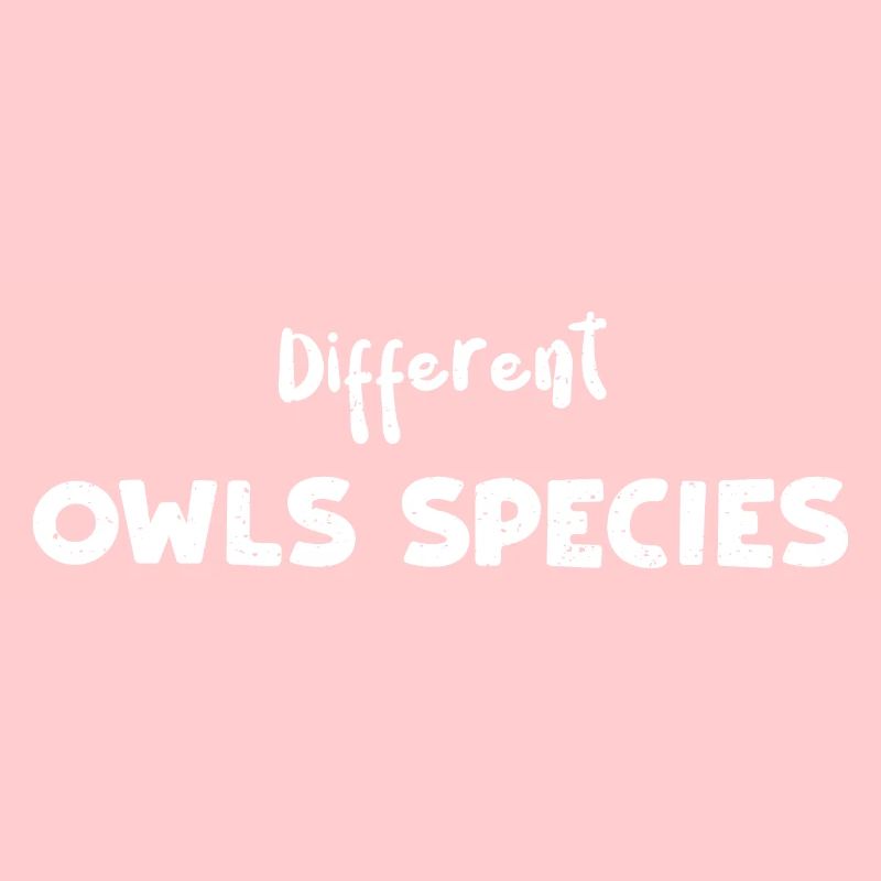 Différentes espèces de hiboux - Oiseaux