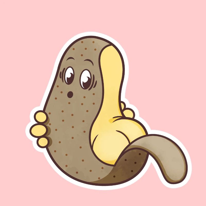 Pomme de terre