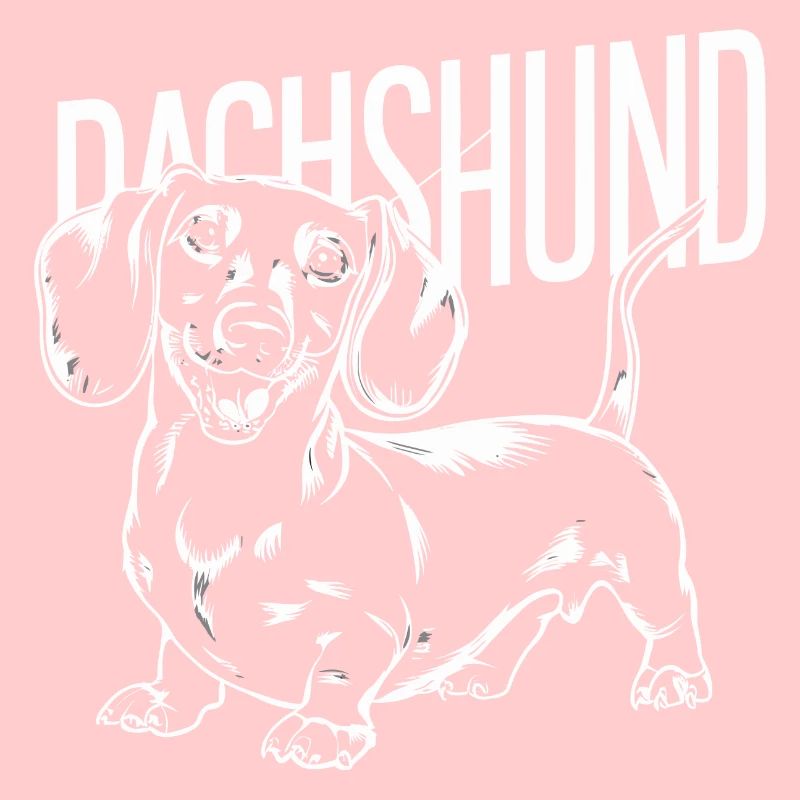 Teckel Teckel chien chien