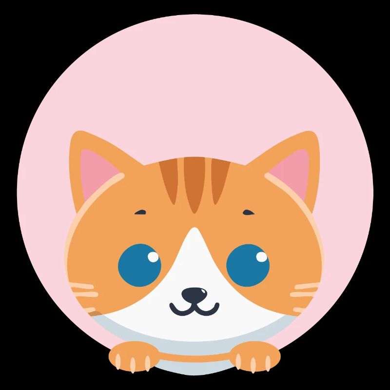 Chat orange