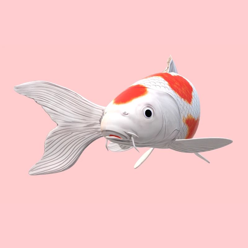 3D Koi