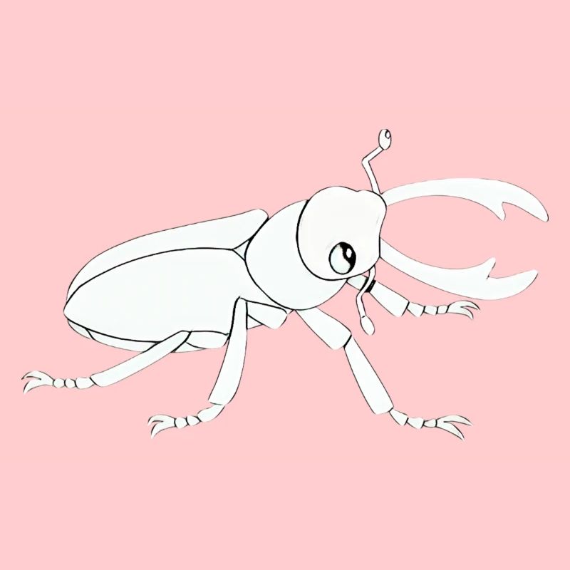 Insecte