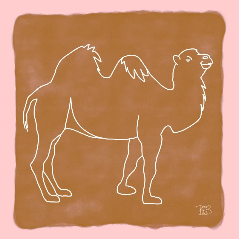 "Kamel", Boho Line Art Design, Serie "Desert"