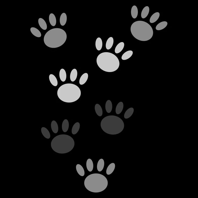 Dog paws