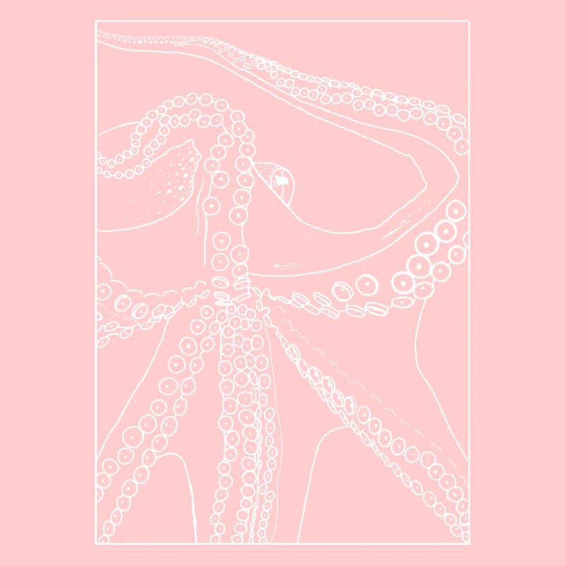 Octopus from below with frame