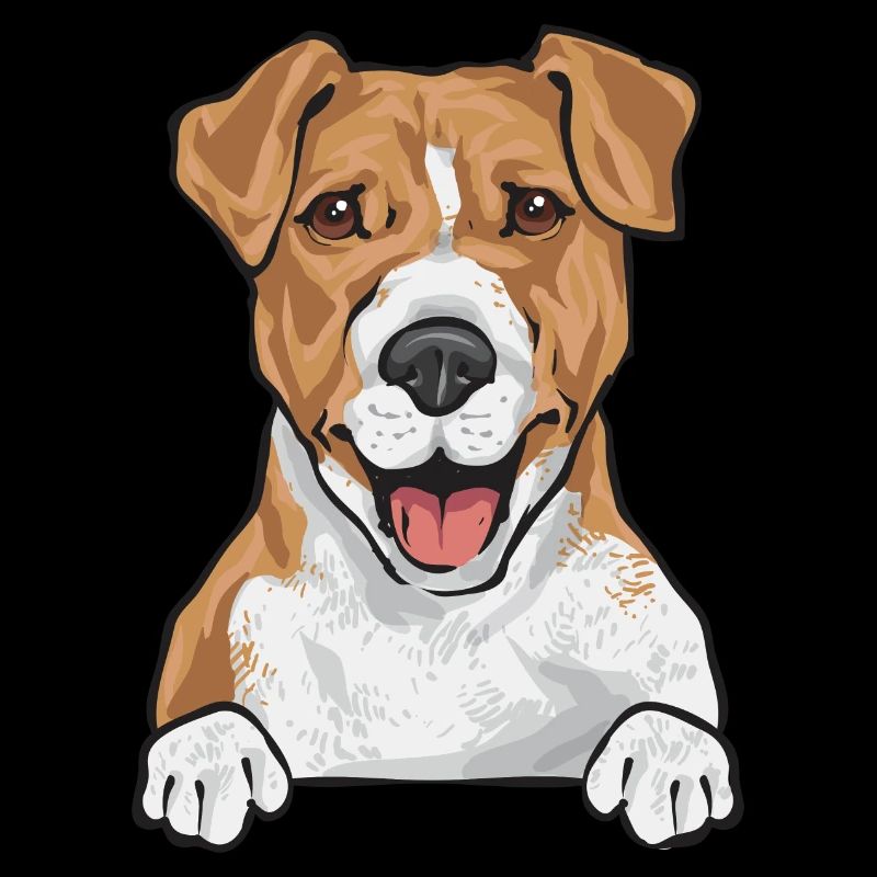 Jack Russell Terrier