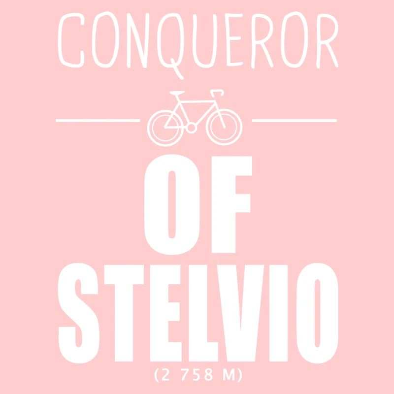 Conquérant du Stelvio cycliste Alpes