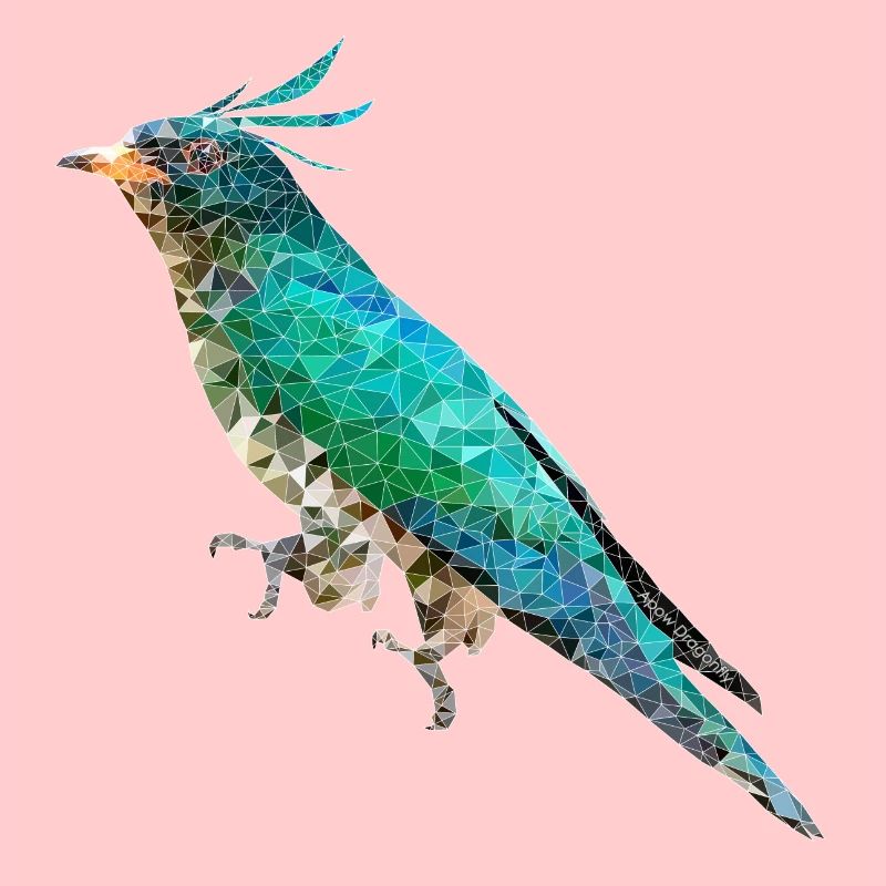 Vogel ~ der Smaragdkuckuck