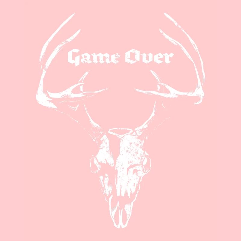 Game Over Enterrement de vie de garçon
