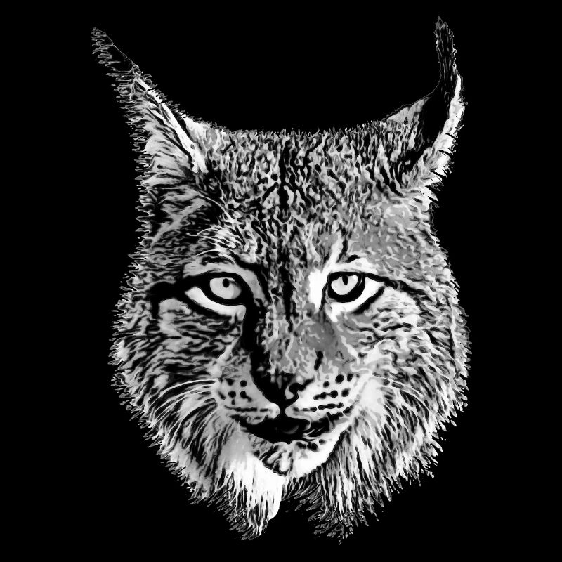 Lynx cool animal cool predator predator Lynx