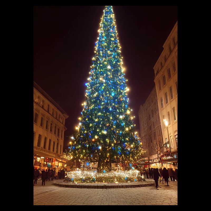 Hoher Weihnachtsbaum