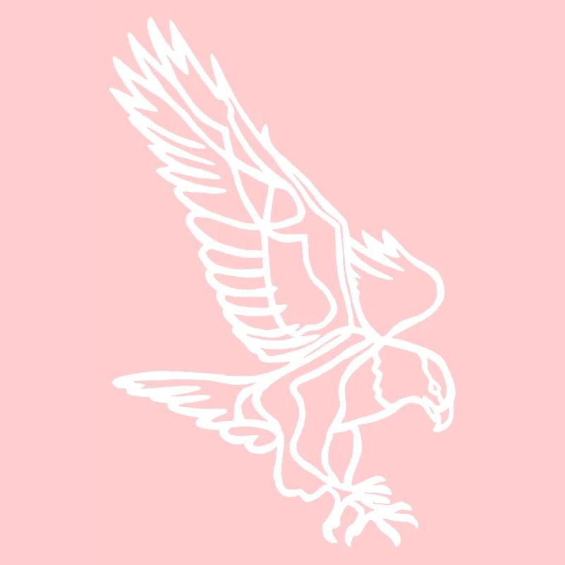 Aigle blanc en vol