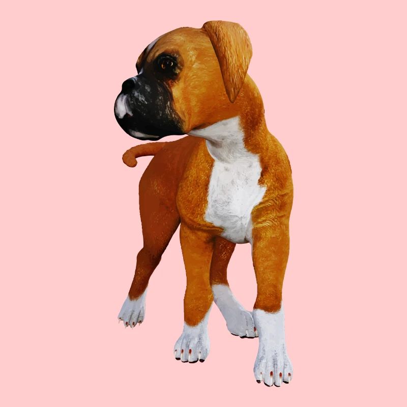 Chien chiot boxer