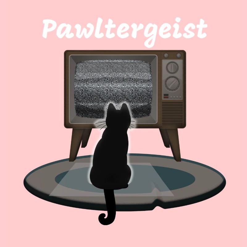 Poltergeist Katze