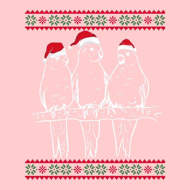 Parrots with Santa hats