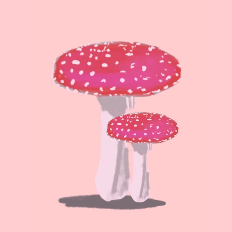 Testippings rouge blanc