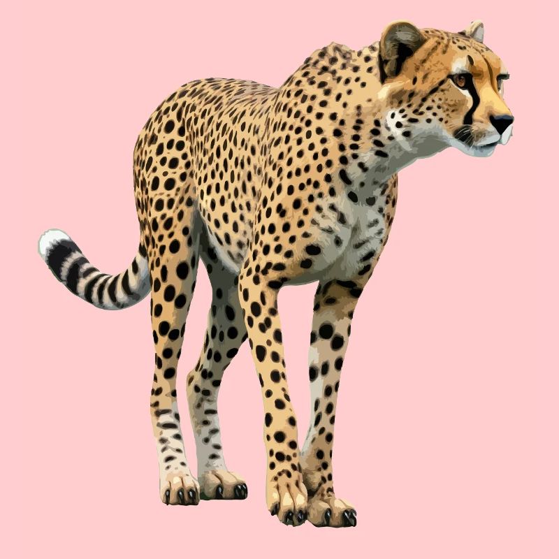 Gepard echt