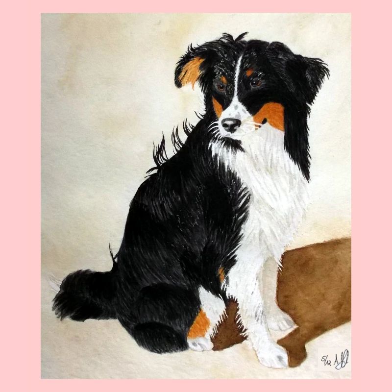 Sitzender Aussie Nanouk