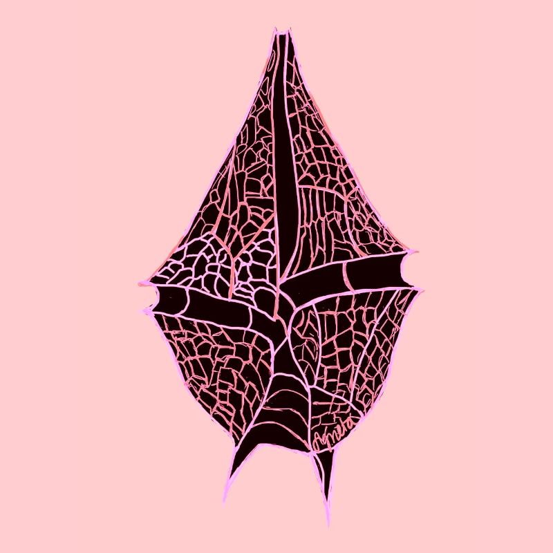 Gonyaulax verior, rosa