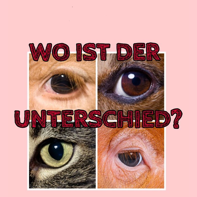 Wo ist der Unterschied?