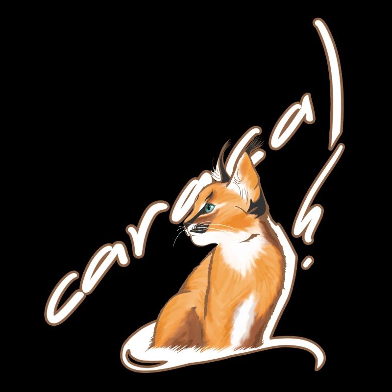 Bébé caracal